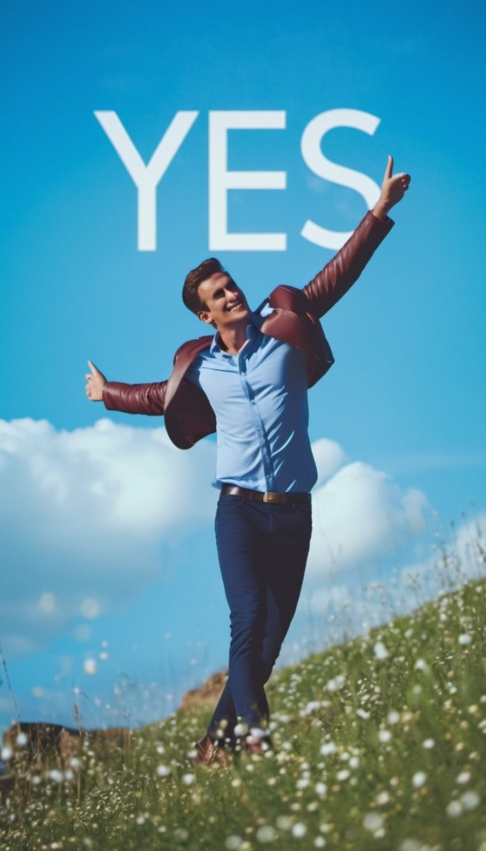 イエスマン　キャッチ画像
